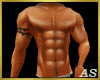 `Body Builder Muscles 1P