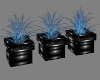 Neon Blue Plants