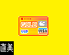 Gold Visa Card