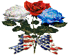 4th of July Roses