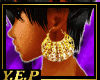 $LSA Floral Hoops Gold$