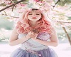 MLR 1-11 / Music