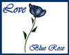 Blue Rose ^^The Rose^^
