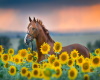Sunflower Horse Rocker