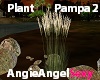 ♥AAS♥ Plant Pampa 2