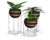 Plant Stand