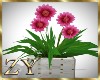 ZY: Flower Daisie Pot