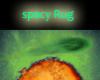 spacy Rug