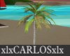 xlx Palm tree IV