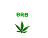 Trigger BRB Marijuana