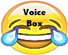 VoiceBox (DMC)