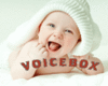 Real Baby__VoiceBox