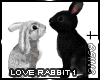 S N Love Rabbits 1
