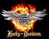 Harley Club II