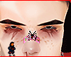 Bein brows