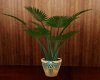small plam plant 02