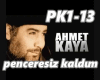 ahmet kaya penceresiz