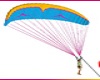 ADD ON PARASAIL