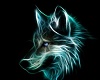teal wolf  pic