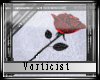 .:V:. Red-dark rose