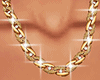 Gold & Diamonds Chain