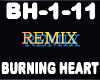 Remix Burning Heart