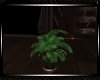 **Fantasy Planter 3