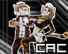 [C.A.C] Patches Pirate F