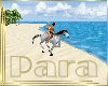 P9]Animated gallop Horse