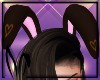 K.Bunny Ears mudd