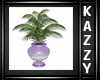 }KR{ Potted Palm