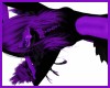 Black & Purple Furry