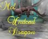 !Undead Dragon