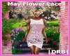 |DRB| May Flower