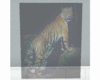 bengal tiger window