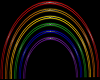 amm- neon rainbow