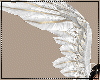 -Ith- White & Gold Wings