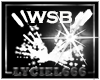 DJ WSB Particle