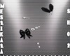 MS Black Earrings