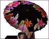 Chinese Umbrella w Poses