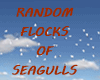 RANDOM FLOCKS OF SEAGULS