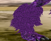 purple roo roo leg fur