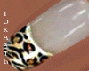 IO-Nails White Tiger