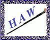 Haw's Ebony Cane