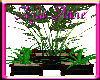 AAM-Potted Plant Red/Blk