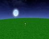 Blue Moon Field