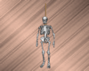 Skeleton Animated