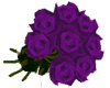 ® Purple Roses