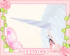 Lady Amalthea's Horn