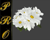 flower 966